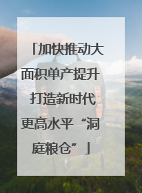 加快推动大面积单产提升 打造新时代更高水平“洞庭粮仓”