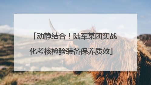 动静结合！陆军某团实战化考核检验装备保养质效