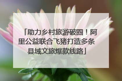 助力乡村旅游破圈！阿里公益联合飞猪打造多条县域文旅爆款线路