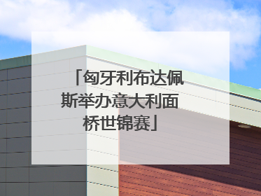 匈牙利布达佩斯举办意大利面桥世锦赛