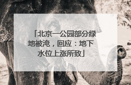 北京一公园部分绿地被淹，回应：地下水位上涨所致
