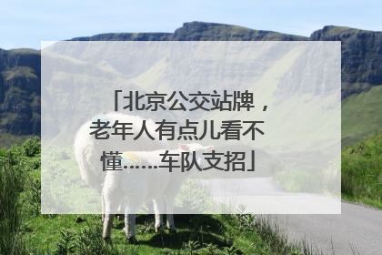 北京公交站牌，老年人有点儿看不懂……车队支招