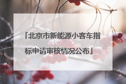 北京市新能源小客车指标申请审核情况公布
