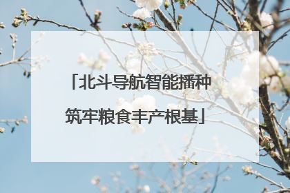 北斗导航智能播种 筑牢粮食丰产根基