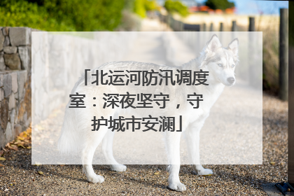 北运河防汛调度室：深夜坚守，守护城市安澜