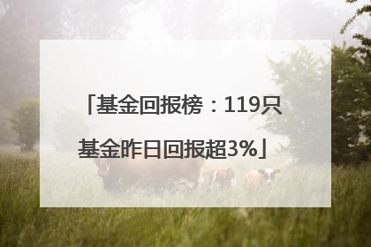 基金回报榜：119只基金昨日回报超3%