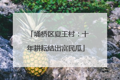 埇桥区夏王村：十年耕耘结出富民瓜