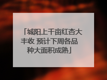 城阳上千亩红杏大丰收 预计下周各品种大面积成熟