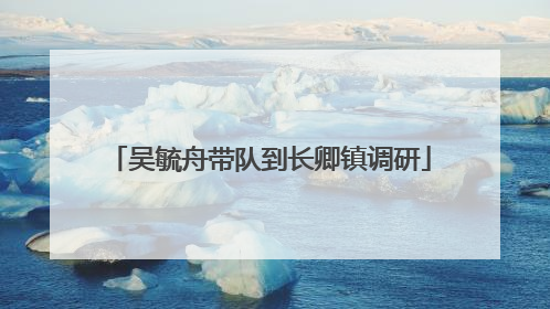 吴毓舟带队到长卿镇调研
