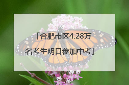 合肥市区4.28万名考生明日参加中考
