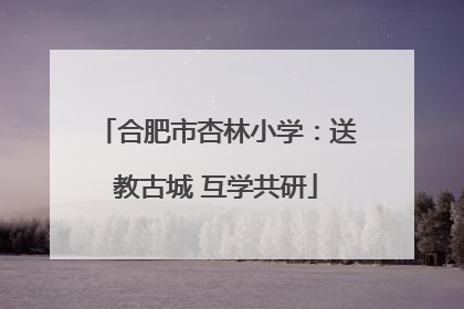 合肥市杏林小学：送教古城 互学共研