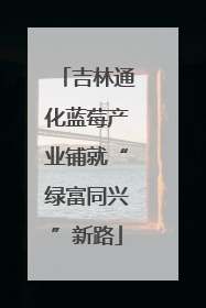 吉林通化蓝莓产业铺就“绿富同兴”新路