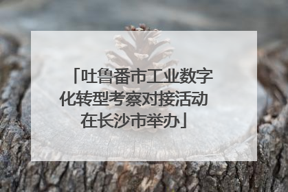 吐鲁番市工业数字化转型考察对接活动在长沙市举办