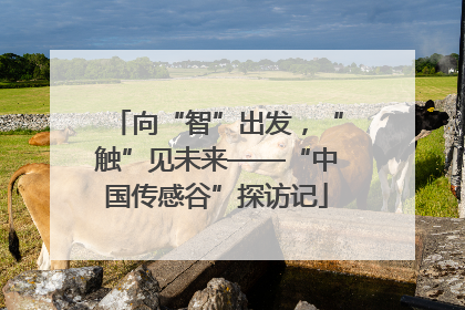 向“智”出发，“触”见未来——“中国传感谷”探访记
