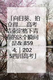 向日葵、拍立得……高考结束定格下青春的这个瞬间是& 8594;｜2025四川高考