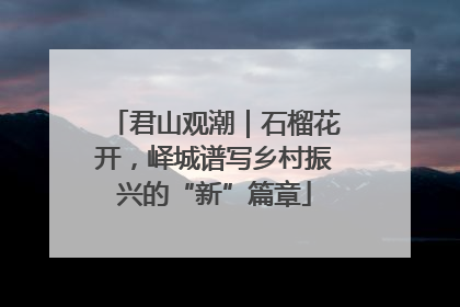 君山观潮｜石榴花开，峄城谱写乡村振兴的“新”篇章