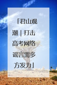 君山观潮｜打击高考网络谣言需多方发力