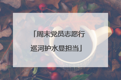 周末党员志愿行 巡河护水显担当
