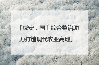 咸安：国土综合整治助力打造现代农业高地