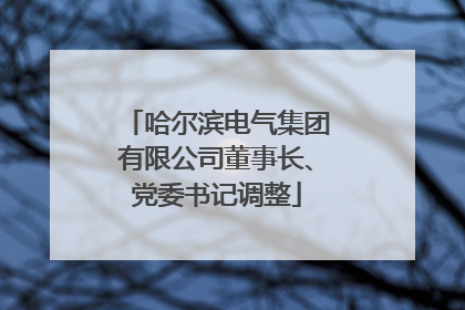 哈尔滨电气集团有限公司董事长、党委书记调整