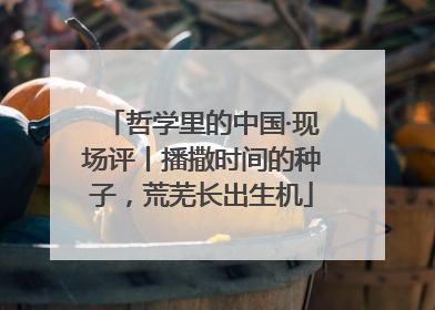 哲学里的中国·现场评丨播撒时间的种子，荒芜长出生机
