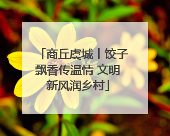商丘虞城丨饺子飘香传温情 文明新风润乡村