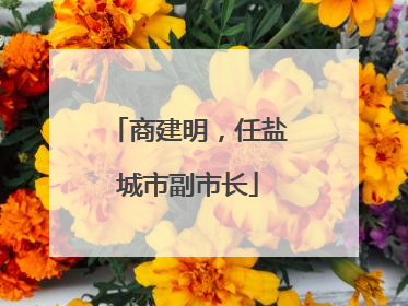 商建明，任盐城市副市长