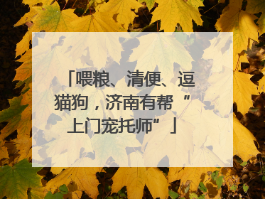 喂粮、清便、逗猫狗，济南有帮“上门宠托师”