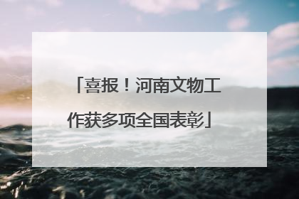喜报！河南文物工作获多项全国表彰