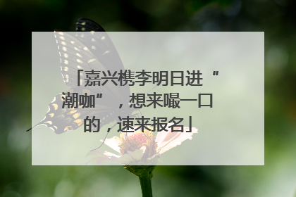嘉兴槜李明日进“潮咖”，想来嘬一口的，速来报名