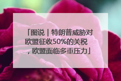 图说｜特朗普威胁对欧盟征收50%的关税，欧盟面临多重压力