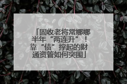 固收老将常娜娜半年“两连升”！靠“债”撑起的财通资管如何突围