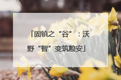 固镇之“谷”：沃野“智”变筑粮安