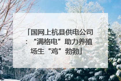 国网上杭县供电公司：“满格电”助力养殖场生“鸡”勃勃