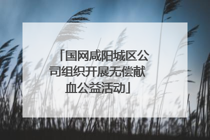 国网咸阳城区公司组织开展无偿献血公益活动