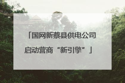 国网新蔡县供电公司启动营商“新引擎”