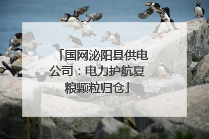 国网泌阳县供电公司：电力护航夏粮颗粒归仓