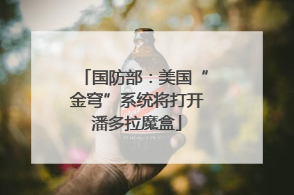 国防部：美国“金穹”系统将打开潘多拉魔盒