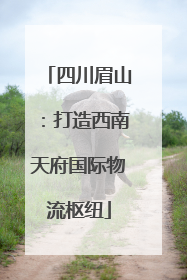 四川眉山：打造西南天府国际物流枢纽
