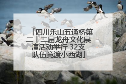四川乐山五通桥第二十二届龙舟文化展演活动举行 32支队伍竞渡小西湖