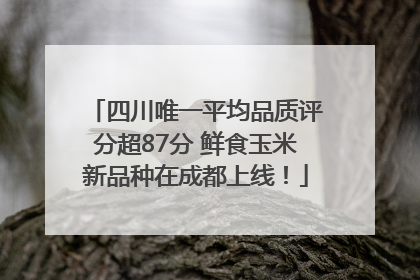 四川唯一平均品质评分超87分 鲜食玉米新品种在成都上线！