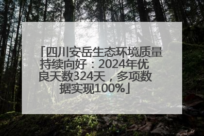 四川安岳生态环境质量持续向好：2024年优良天数324天，多项数据实现100%