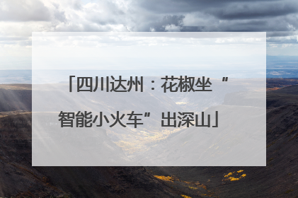四川达州：花椒坐“智能小火车”出深山