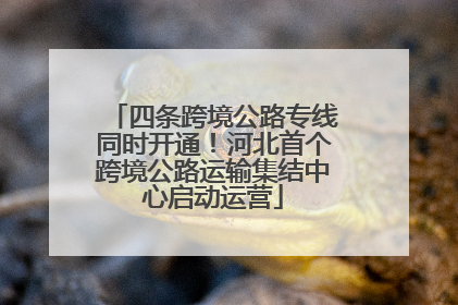 四条跨境公路专线同时开通！河北首个跨境公路运输集结中心启动运营