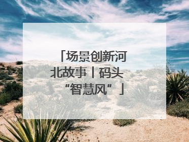场景创新河北故事丨码头“智慧风”