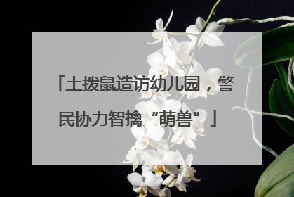 土拨鼠造访幼儿园，警民协力智擒“萌兽”