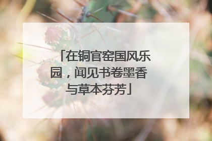 在铜官窑国风乐园，闻见书卷墨香与草本芬芳