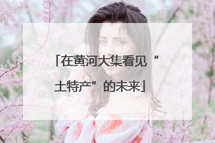 在黄河大集看见“土特产”的未来