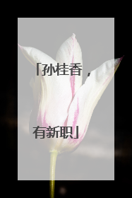 孙桂香，有新职