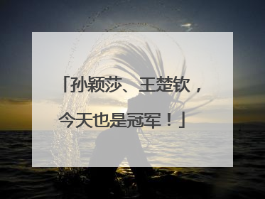 孙颖莎、王楚钦，今天也是冠军！